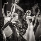 Schwarzweiss-Fotografie: Flamenco