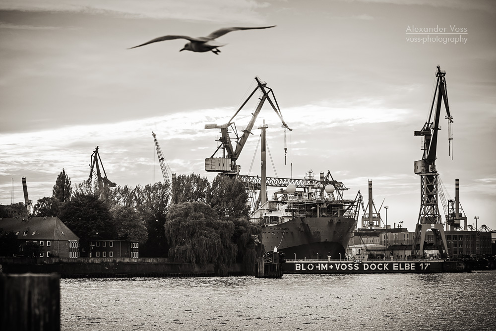 Schwarzweiss-Fotografie: Hamburger Hafen