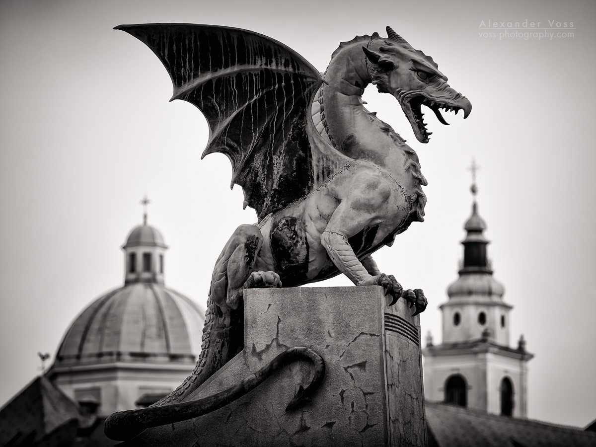 Schwarzweiss-Fotografie: Ljubljana - Drachenbrücke