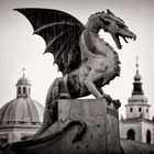 Schwarzweiss-Fotografie: Ljubljana - Drachenbrücke