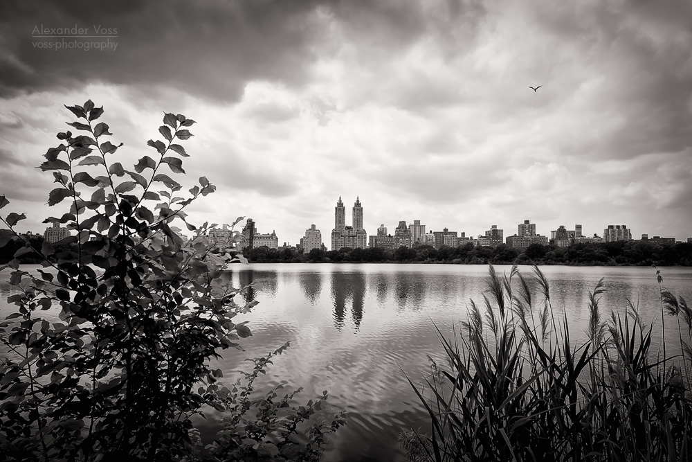 Schwarzweiss-Fotografie: New York - Central Park