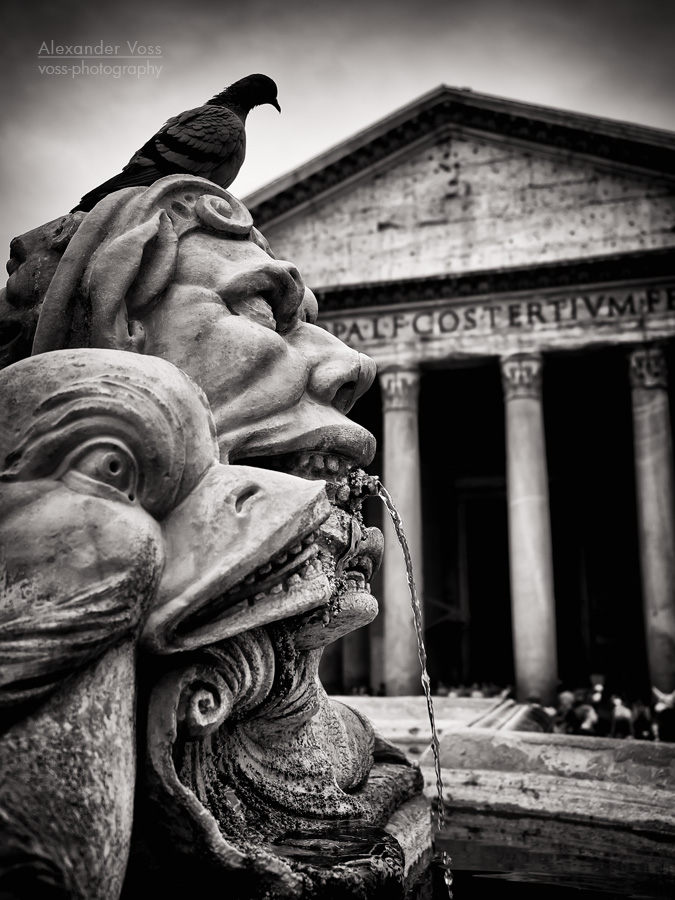 Schwarzweiss-Fotografie: Rom - Fontana del Pantheon