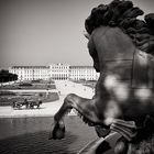 Schwarzweiss-Fotografie: Wien - Schloss Schönbrunn