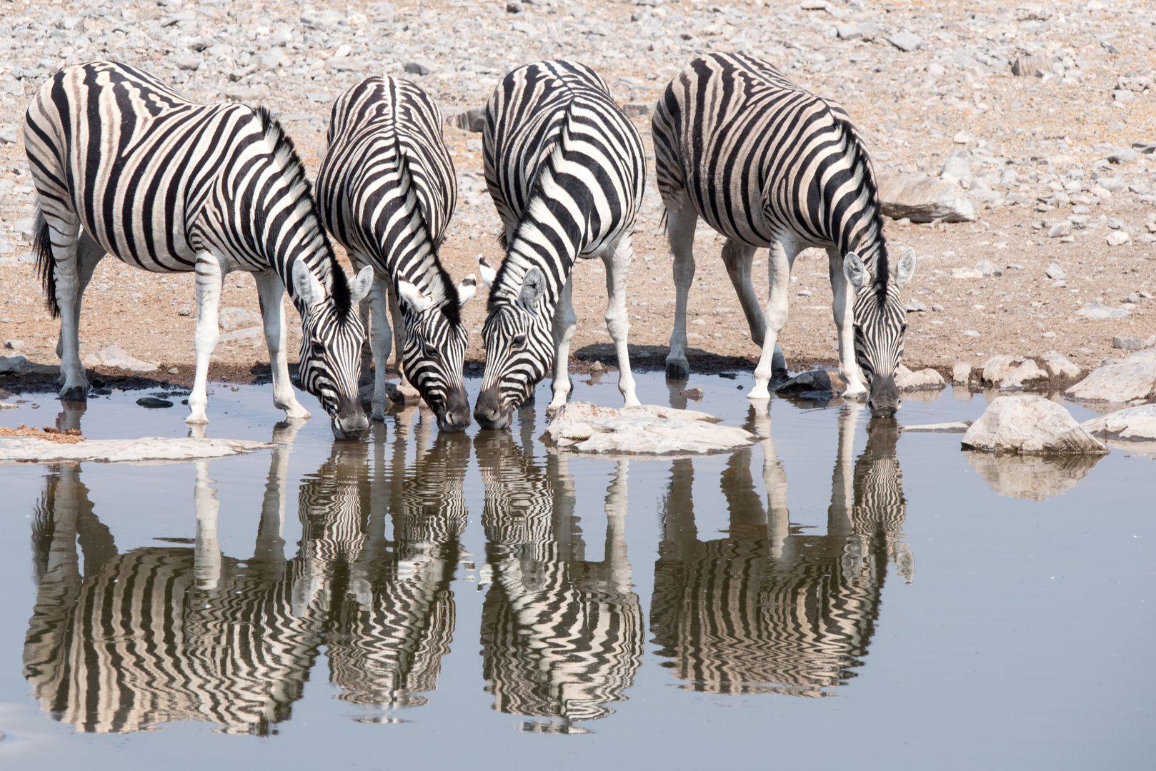 Schwarz/Weiß im Spiegelbild