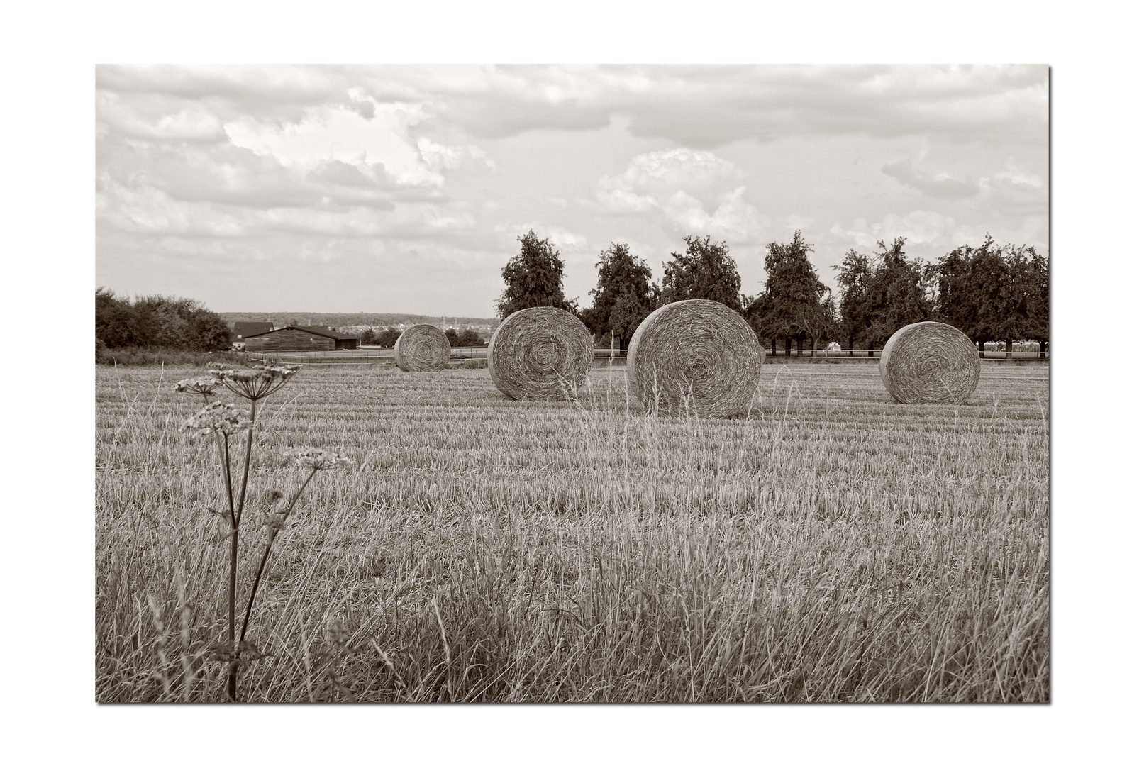 Schwarzweiss Und Gerahmt Foto Bild Landschaft Acker Felder Wiesen Landschaft Und Mehr Bilder Auf Fotocommunity