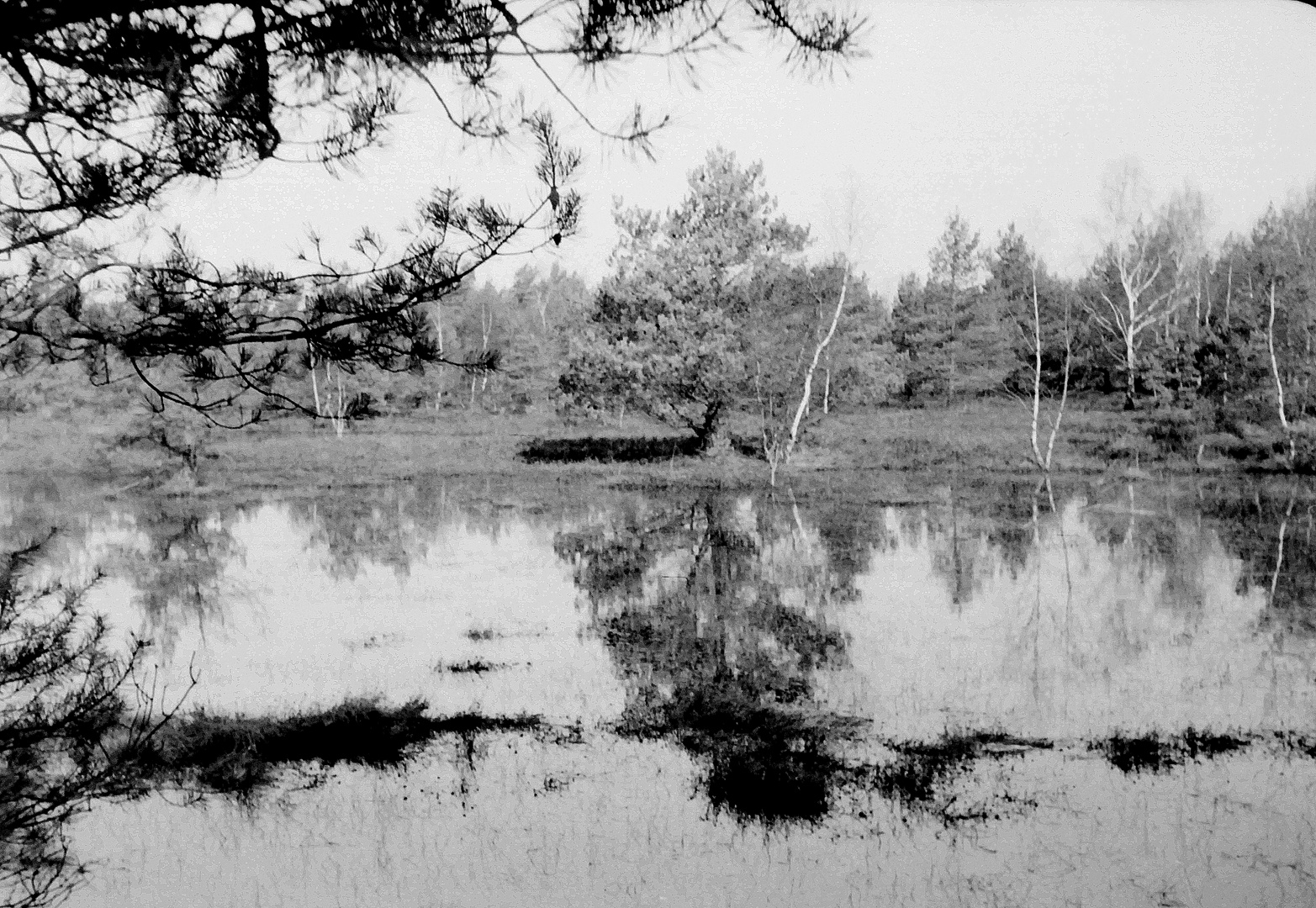 Schwarzweiße Spiegelung