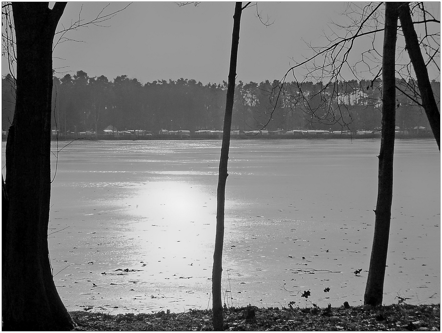 Schwarzweißer Freitag 03.02.23