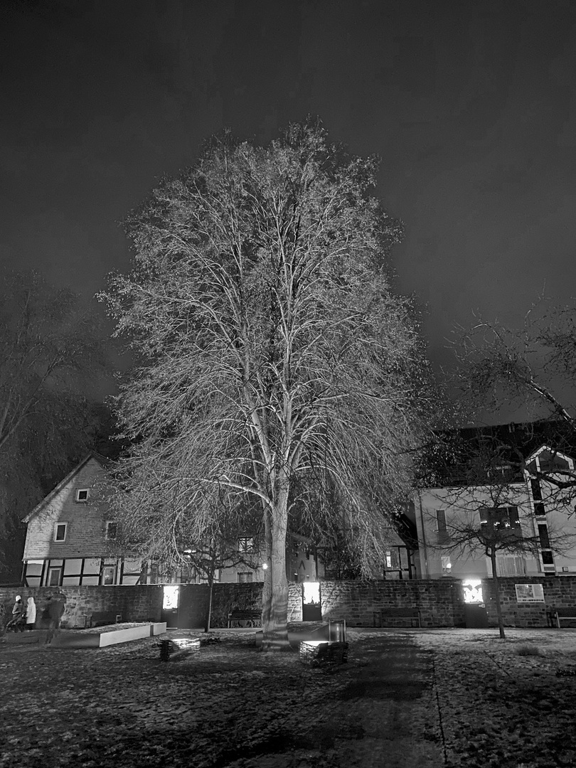 Schwarzweißer Freitag 23.12.2022 Weihnachtsmarkt Stiftsruine Bad Hersfeld  1