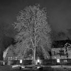 Schwarzweißer Freitag 23.12.2022 Weihnachtsmarkt Stiftsruine Bad Hersfeld  1