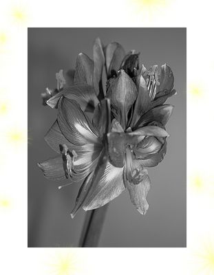 Schwarzweißer Freitag 29.12.23