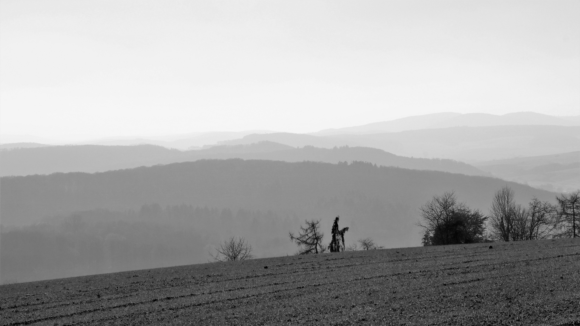 Schwarzweißer Freitag