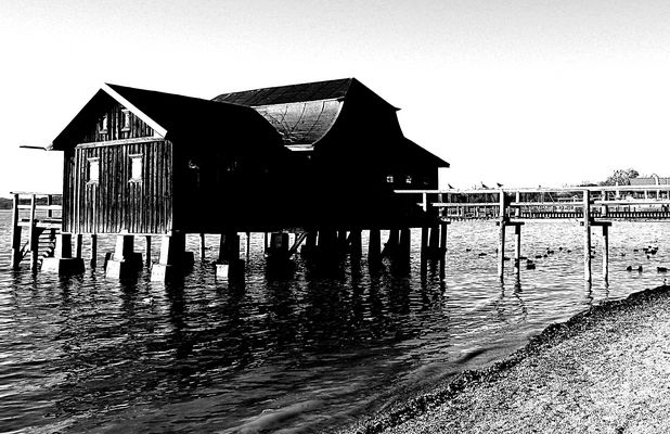 Schwarzweißer Freitag