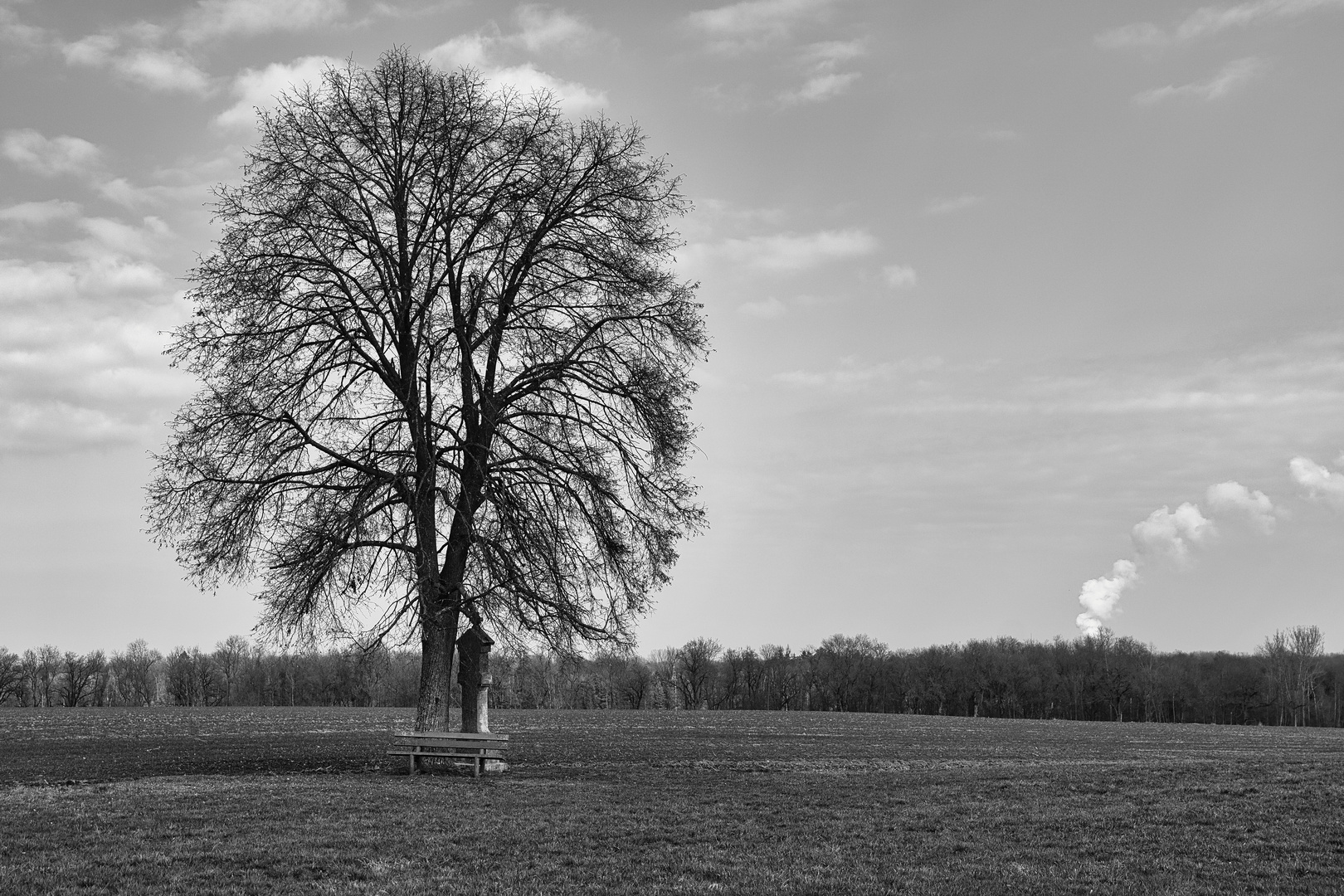 Schwarzweißer Freitag