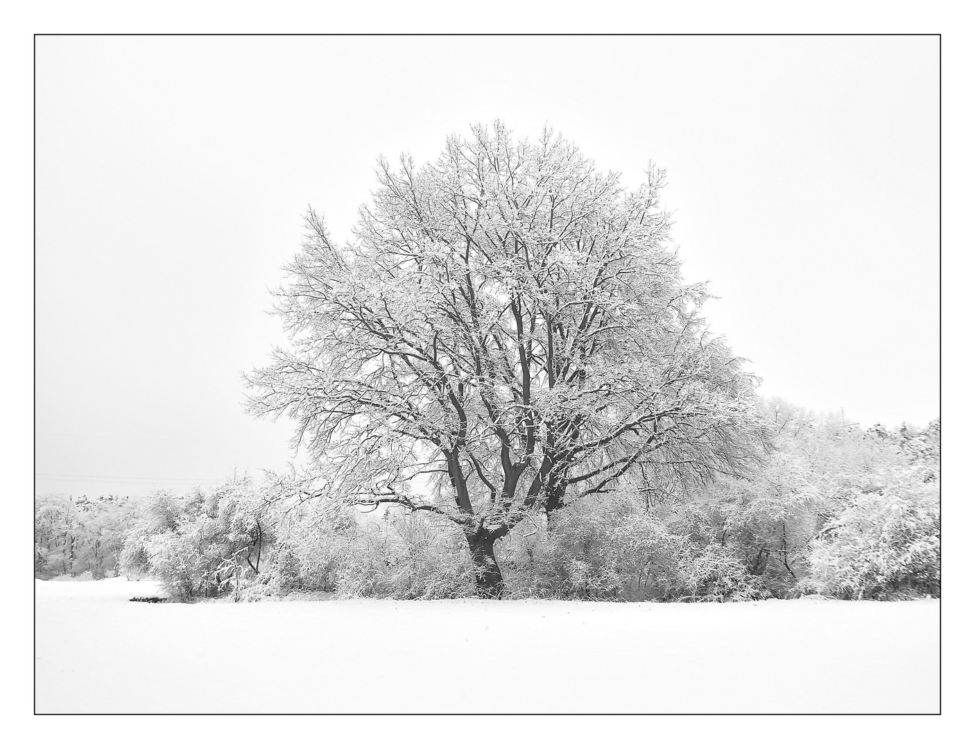 Schwarzweißer Freitag am 03.12.21