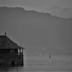 Schwarzweißer Freitag - Am Bodensee 