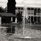 Schwarzweißer Freitag - Blick auf das RMCC -monochrome-