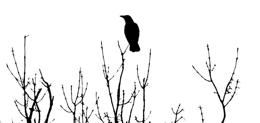 Schwarzweißer Freitag