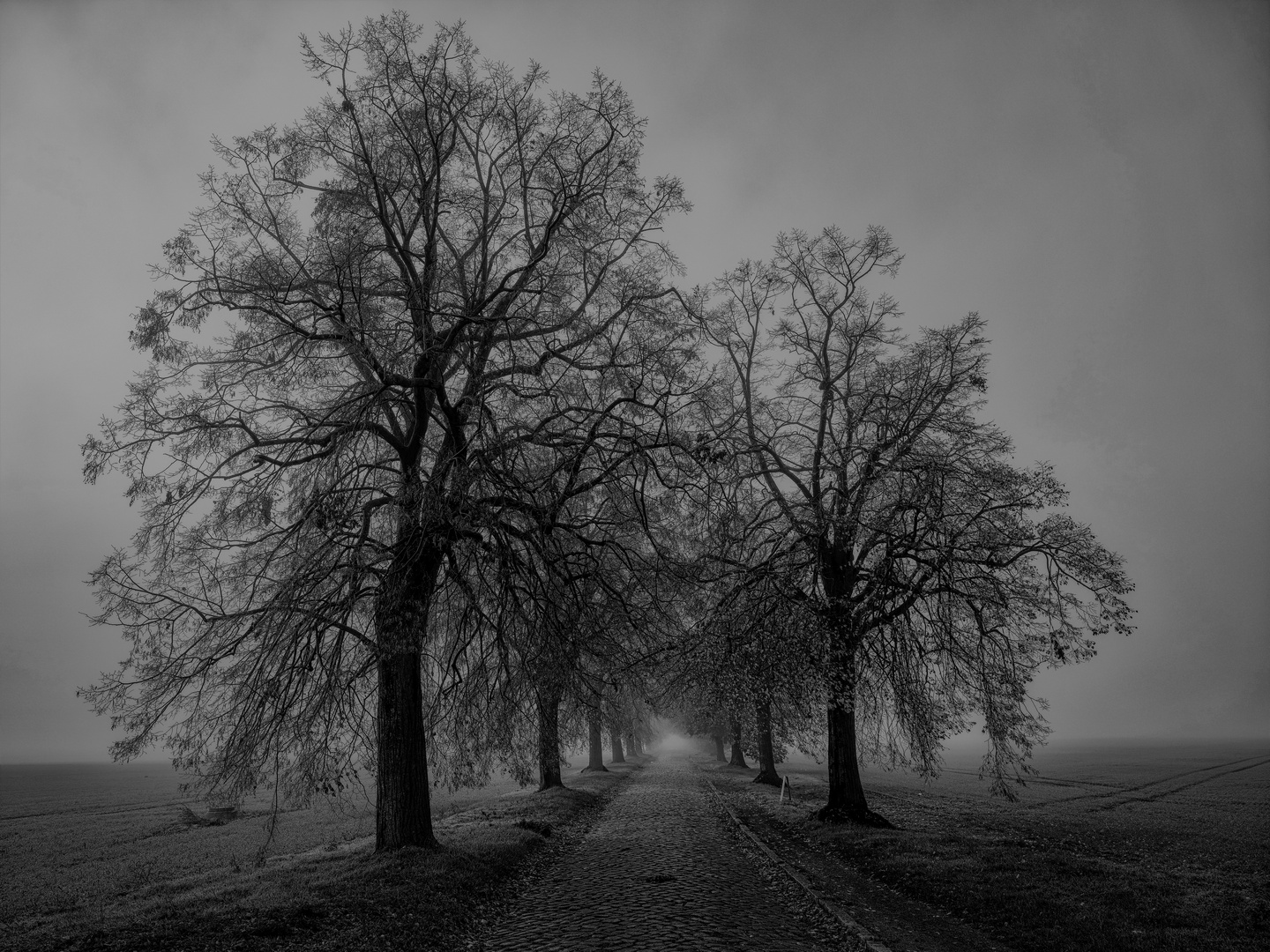 Schwarzweißer Freitag - Der Weg ...