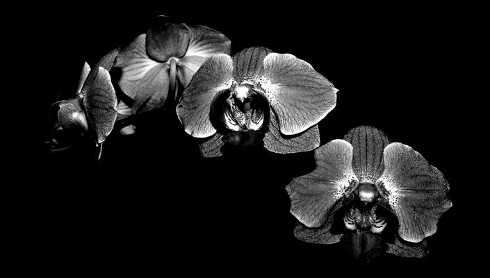 Schwarzweißer Freitag