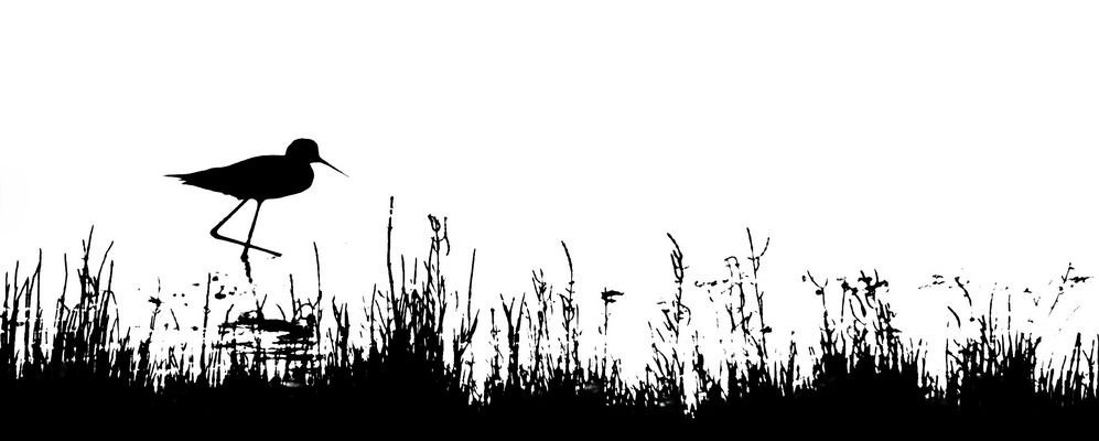 Schwarzweißer Freitag