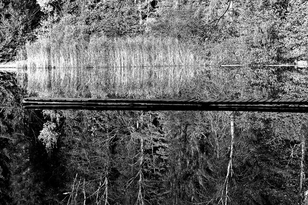 Schwarzweißer Freitag