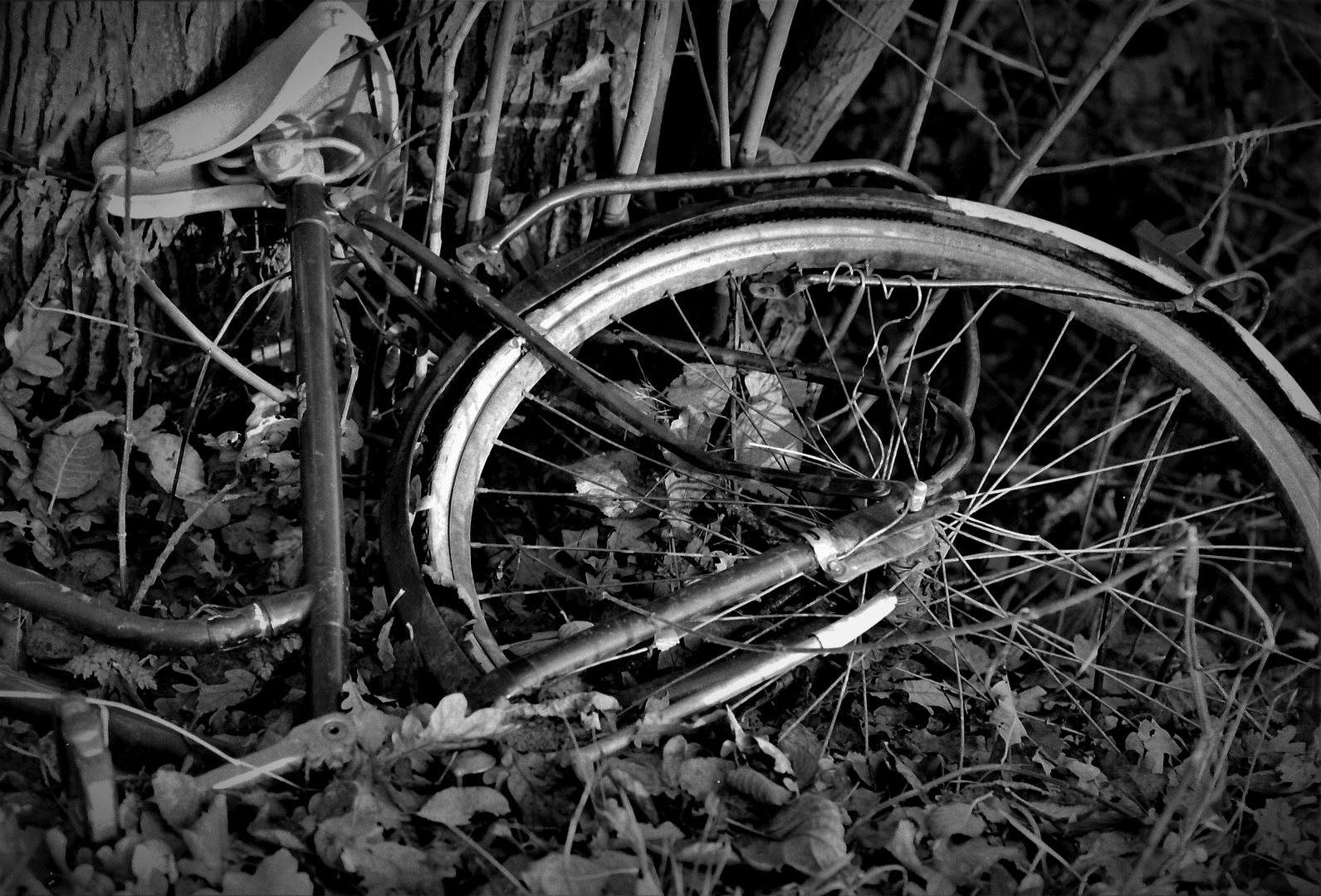 Schwarzweißer Freitag - Fahrradwrack 