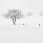 Schwarzweißer Freitag - Let It Snow !