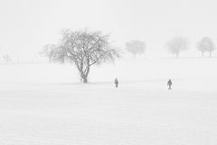 Schwarzweißer Freitag - Let It Snow !