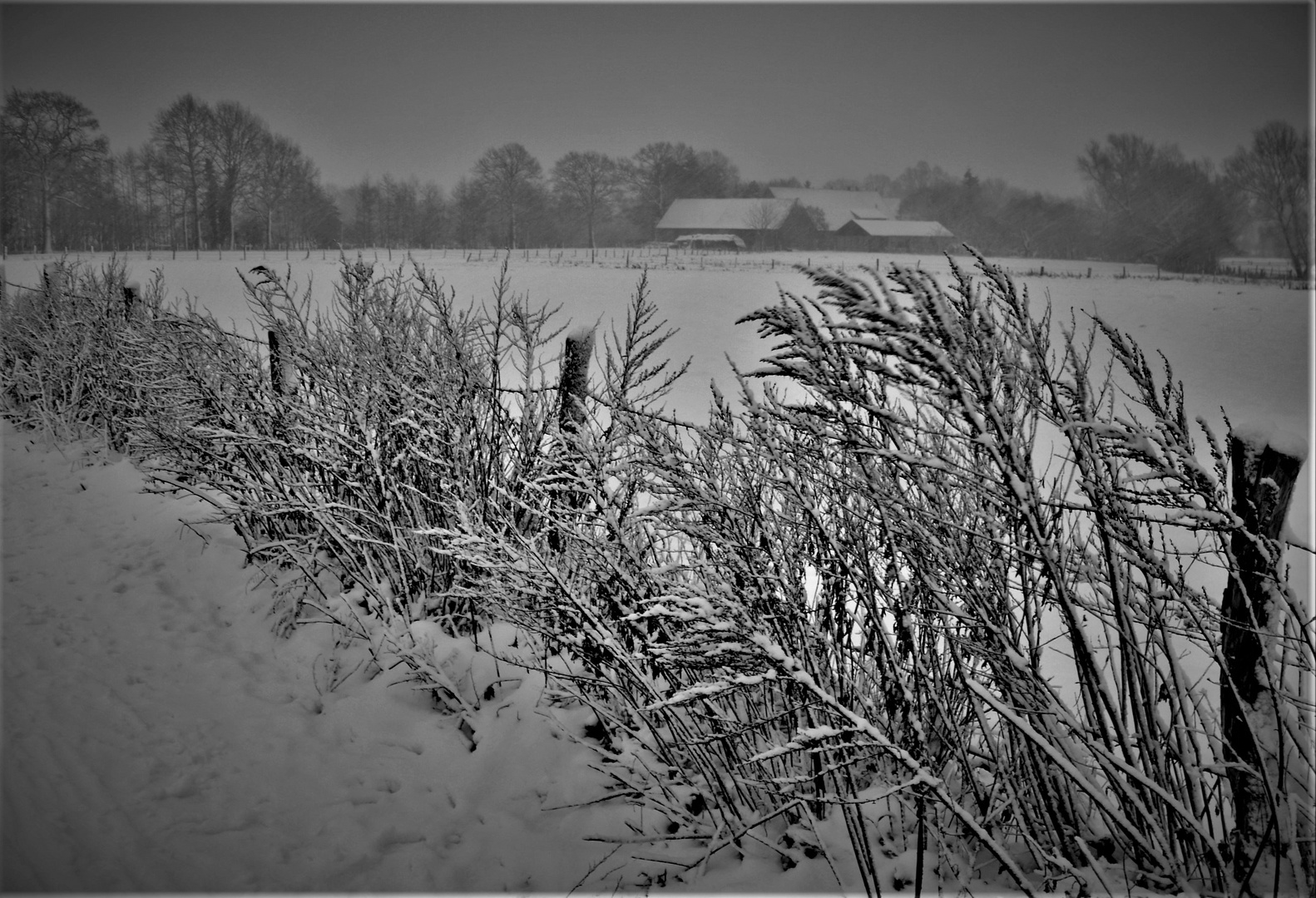 Schwarzweißer Freitag - Schnee im Münsterland 2010