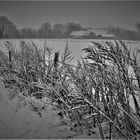 Schwarzweißer Freitag - Schnee im Münsterland 2010