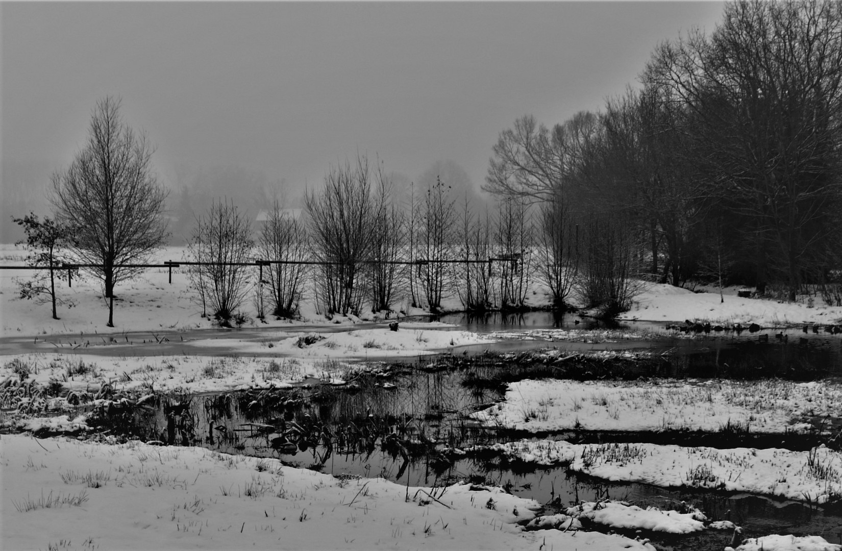 Schwarzweißer Freitag - Schneestimmung im Dezember 2010