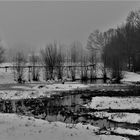 Schwarzweißer Freitag - Schneestimmung im Dezember 2010