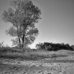 Schwarzweißer Freitag - Strand am Wohlenberger Wiek