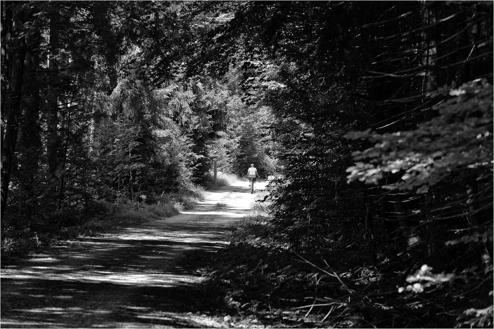 schwarzweißer Freitag - Waldweg mit Rad