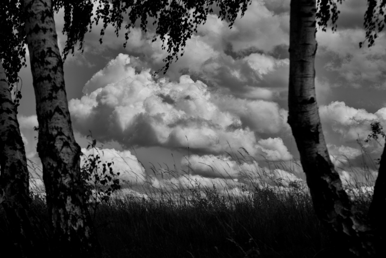 Schwarzweißer Freitag  Wolken am Himmel 