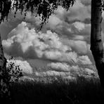 Schwarzweißer Freitag  Wolken am Himmel 