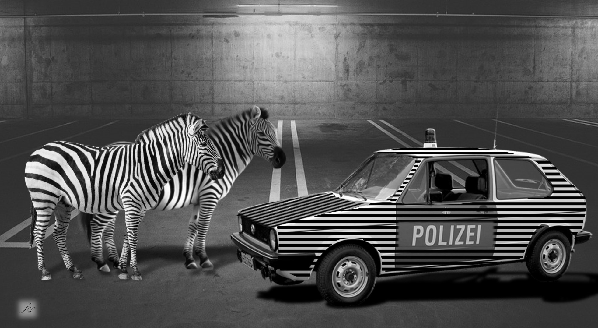 Schwarzweißer Freitag - Zebras vs. Streifenwagen