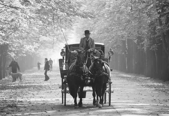 Schwarzweißer Wiener Durchblick