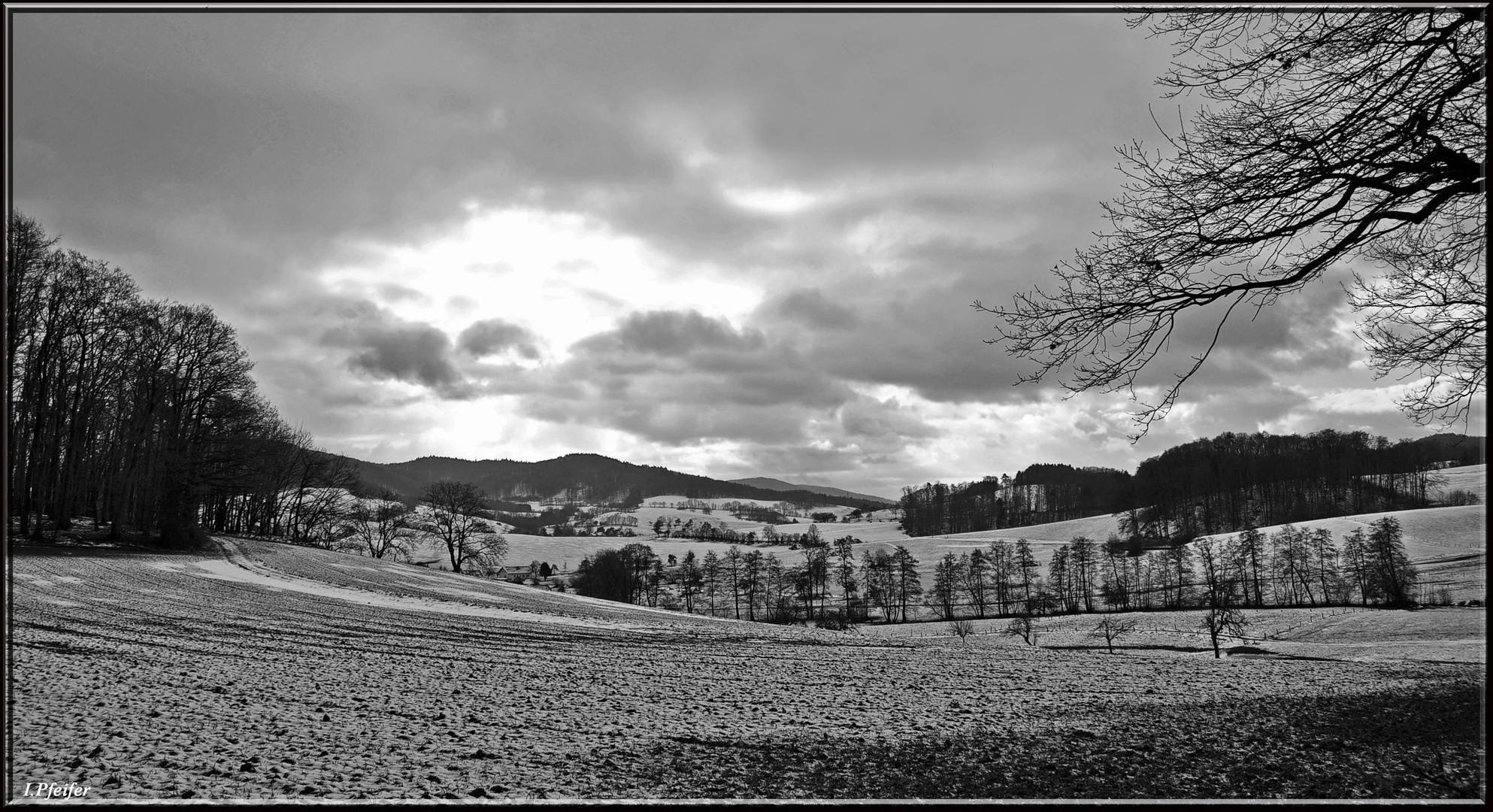 schwarz/weißer Winter