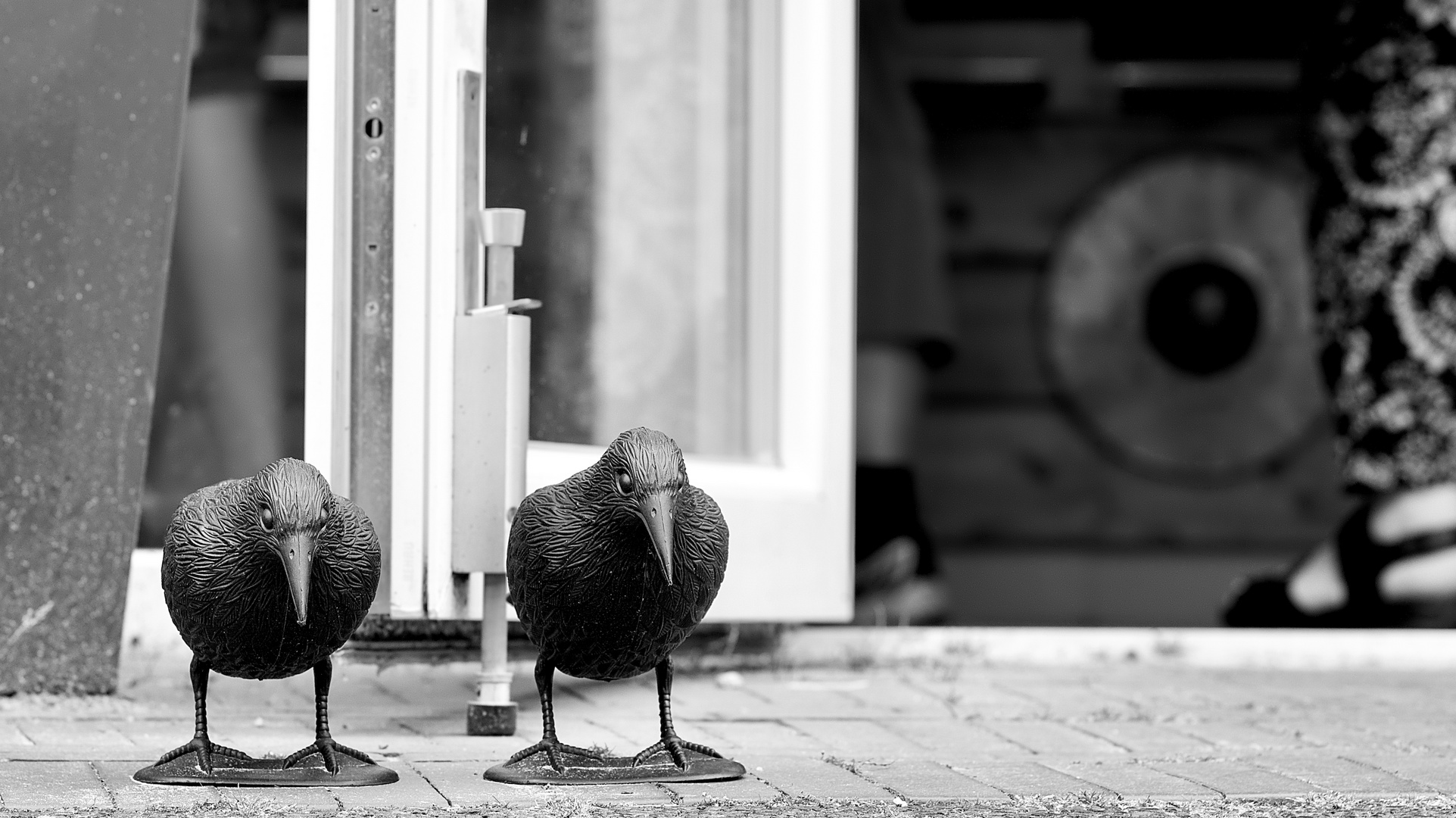 Schwarzweißfotografie in Aurich