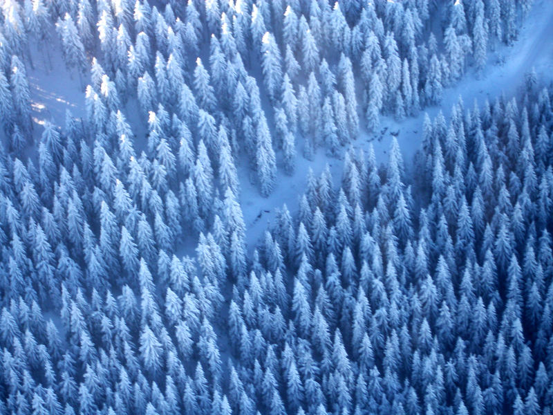 Schwarz(weiss)wald - Luftbild