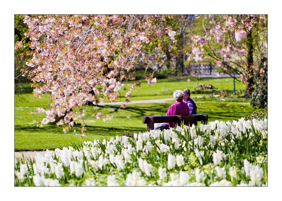 Schwatz im Luisenpark