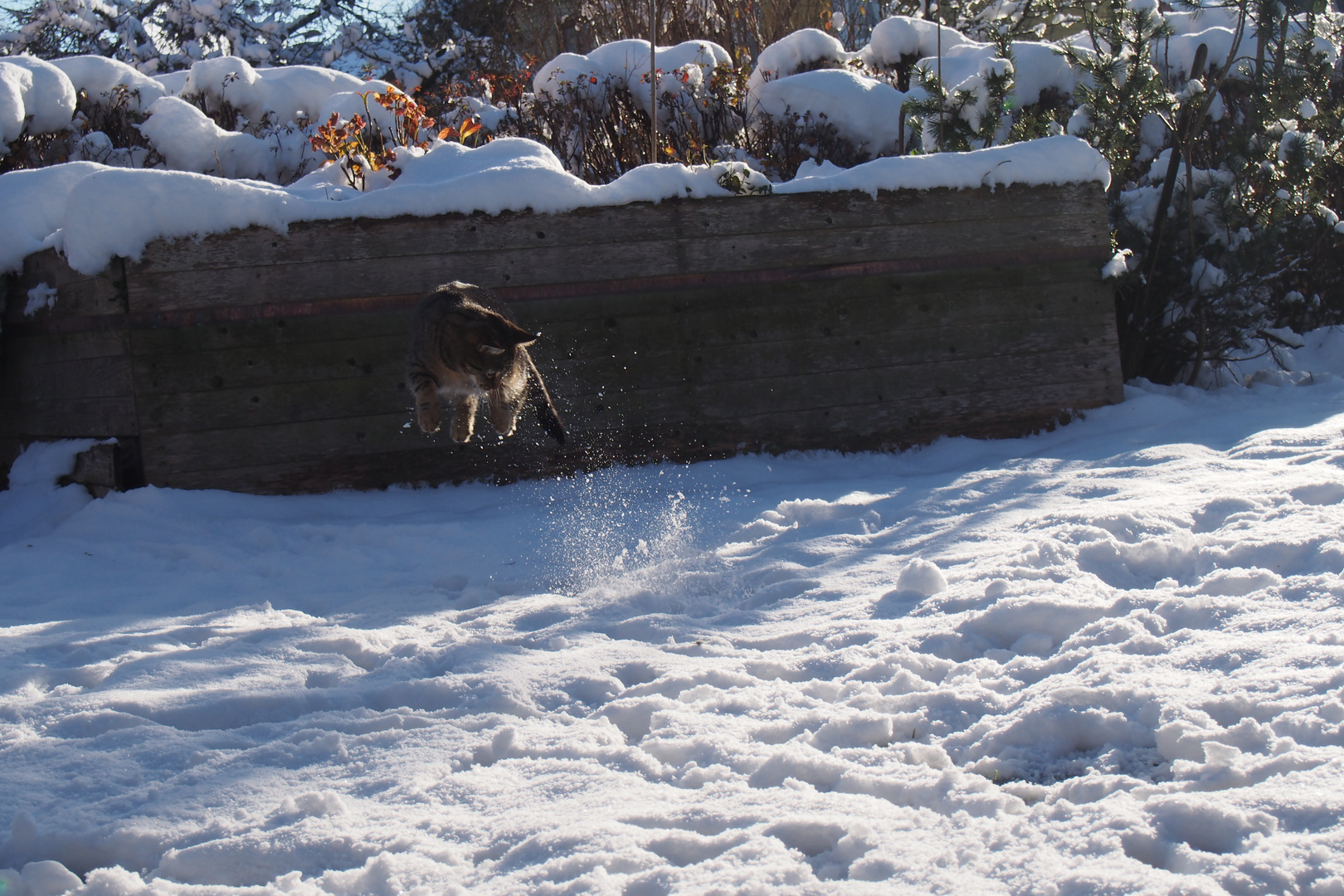 Schweben im Schnee