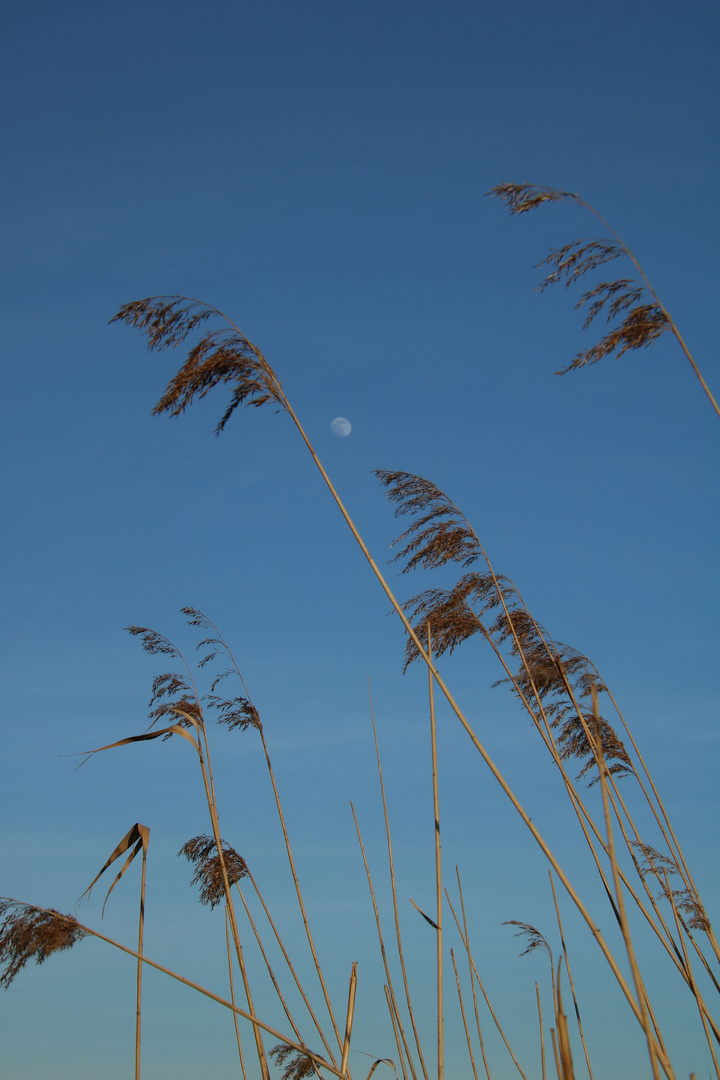 Schweben und Wind