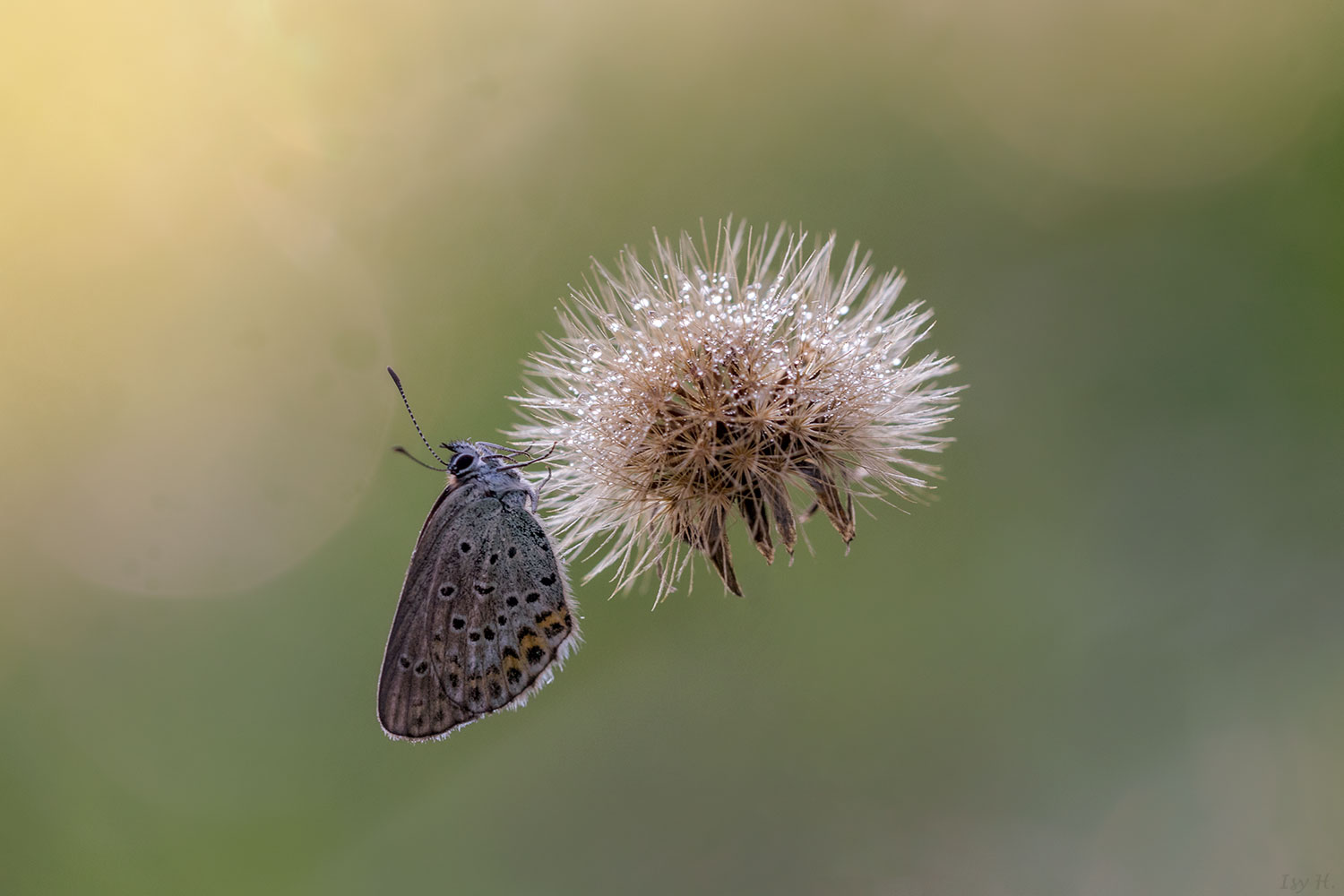 Schwebend leicht