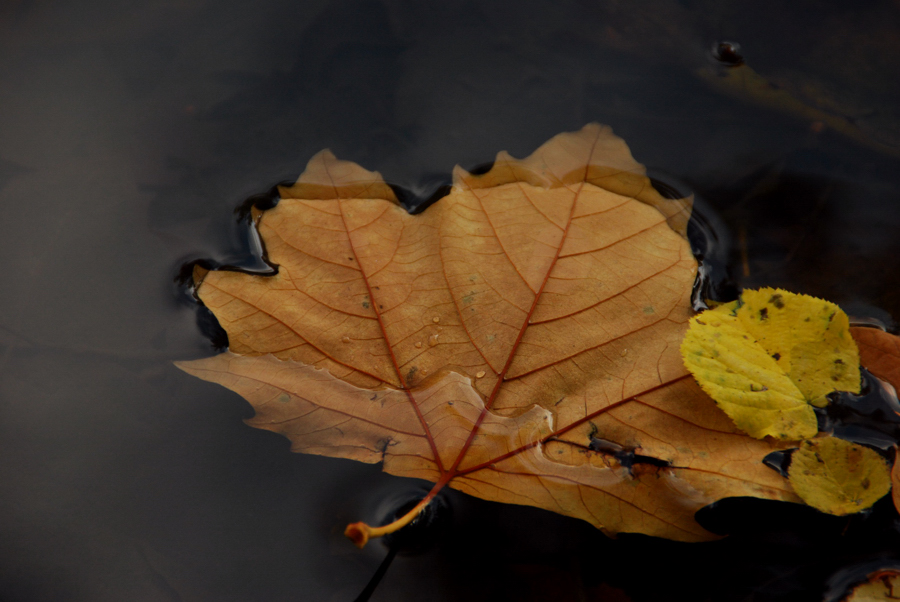 schwebendes Wasser