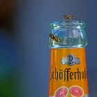 Schwebis mögen Schöfferhofer