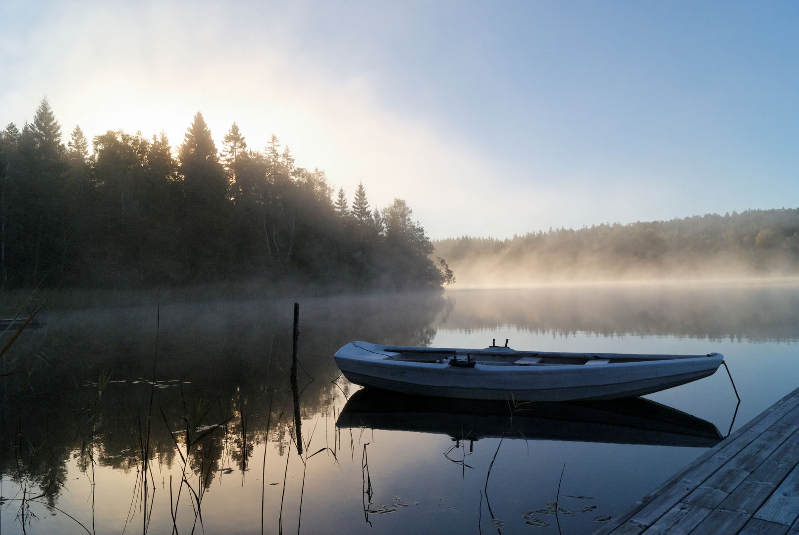 Schweden 2010