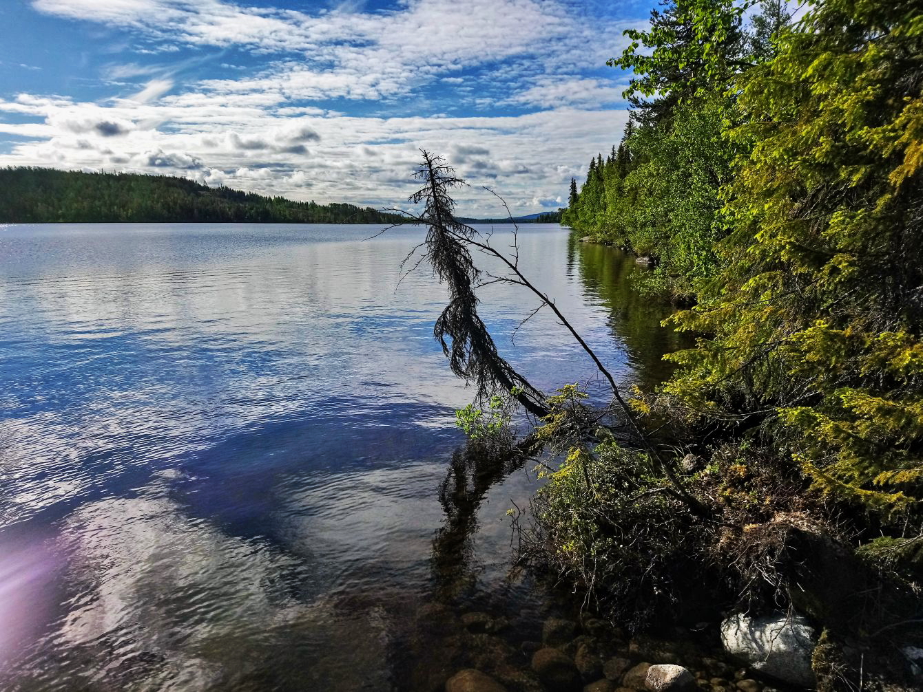  Schweden