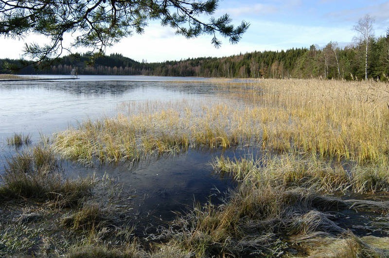 Schweden am Wochenende...